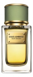 Dolce Gabbana (D&G) Velvet Bergamot For Men