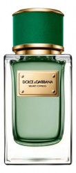 Dolce Gabbana (D&G) Velvet Cypress